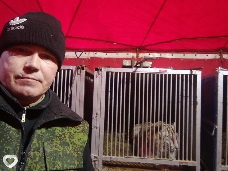 Сергей, 42, Владимире — анкета №3534746