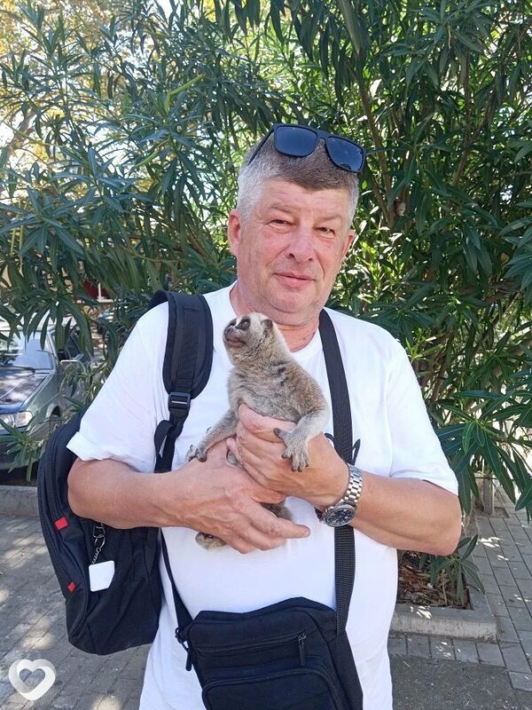 Алексей, 63, Воронеже — анкета №3535107