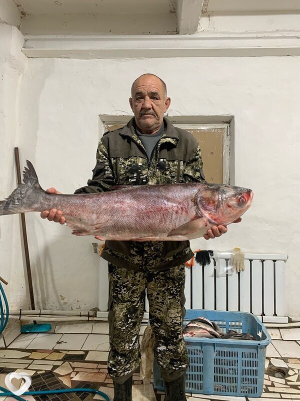 Сергей, 64, Владивостоке — анкета №3546446