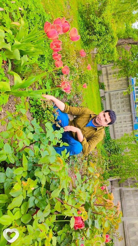 Shahid Ali, 33, Москве — анкета №3547968
