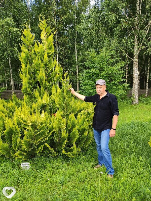 Дмитрий, 53, Витебске — анкета №3550082