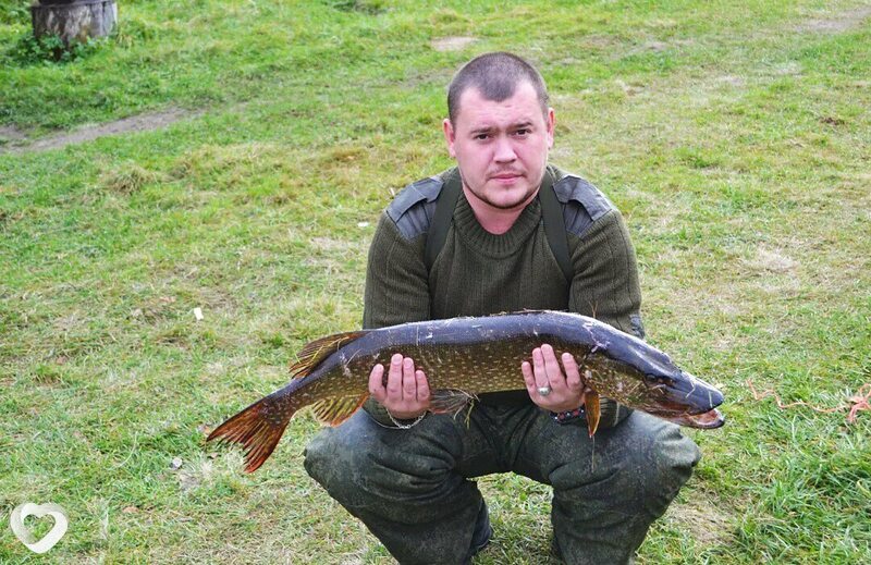 Евгений, 39, Кашире — анкета №3550132