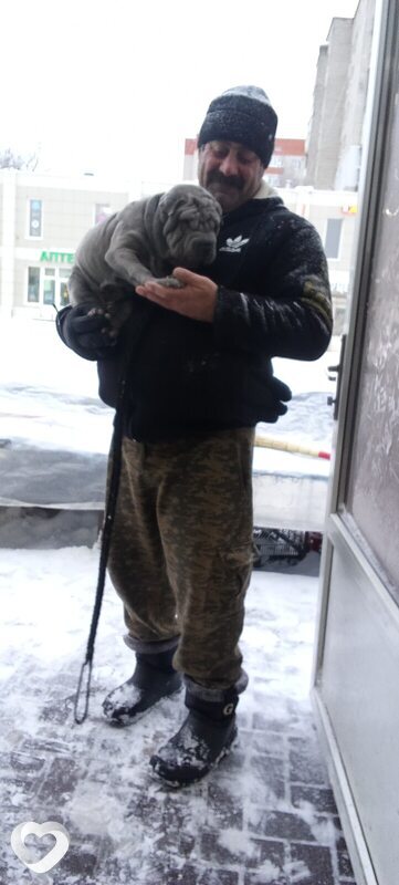 Эдик, Голицыно