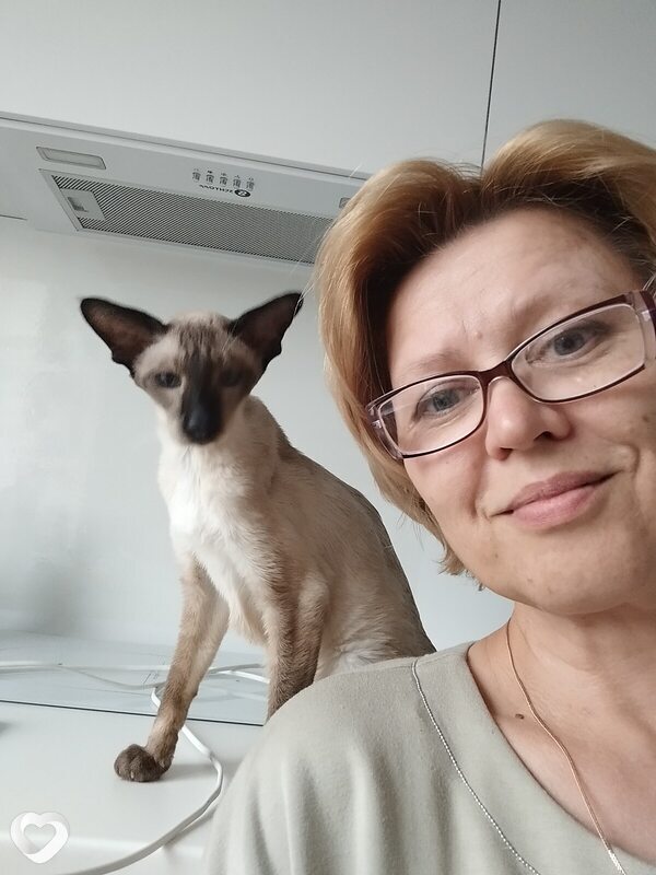Юлия, 53, Минске — анкета №3551407