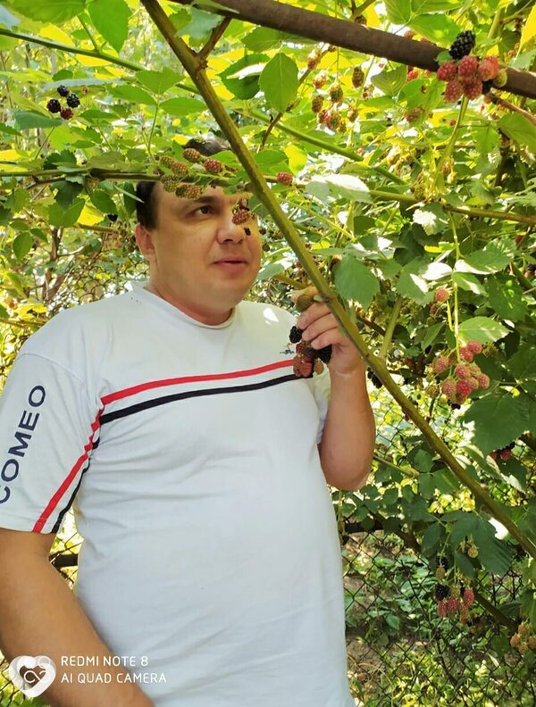 Максим, Талгар