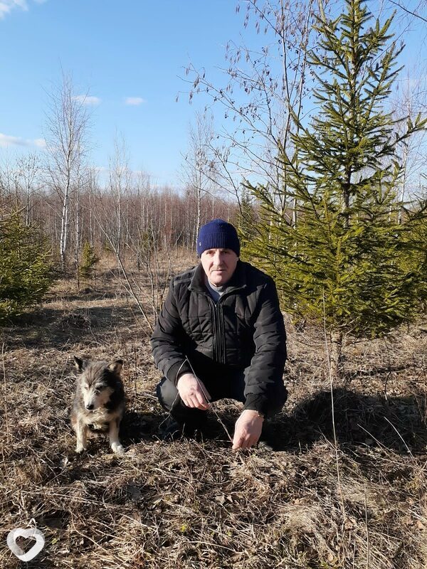 Алексагдр, Наволоки