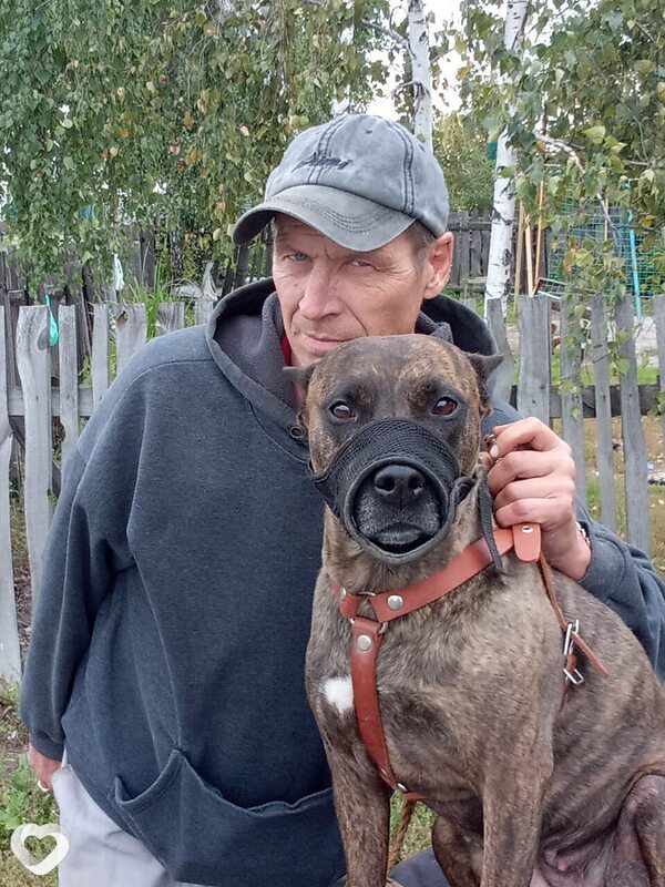 Алекс, 46, Кургане — анкета №3556846