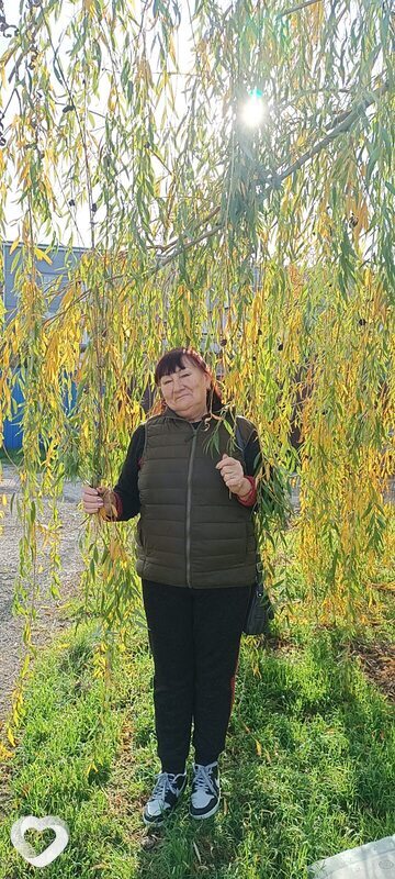 Надежда, 67, Краснодаре — анкета №3557811