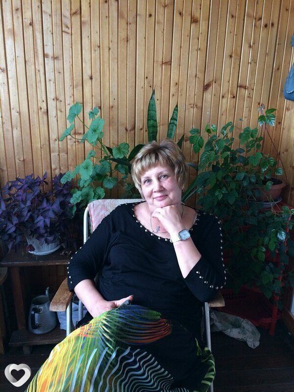 Елена, Сокол
