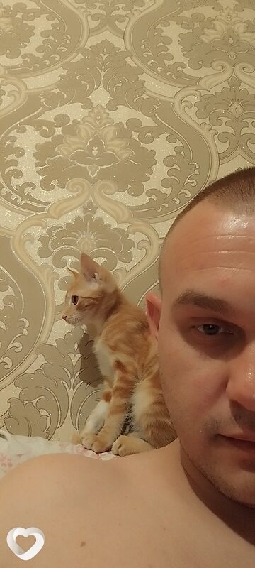 Мото Мото, Душанбе
