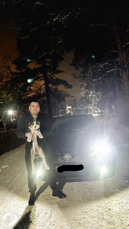 Дима, 26, Санкт-Петербурге — анкета №3563151
