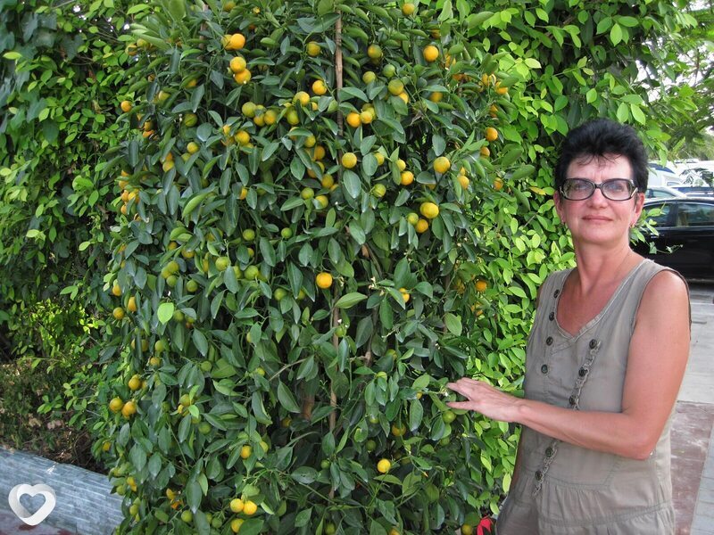 Алеся, 57, Хабаровске — анкета №3564867