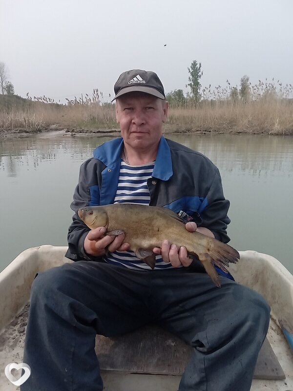 Андрей, 53, Богдановиче — анкета №3567588