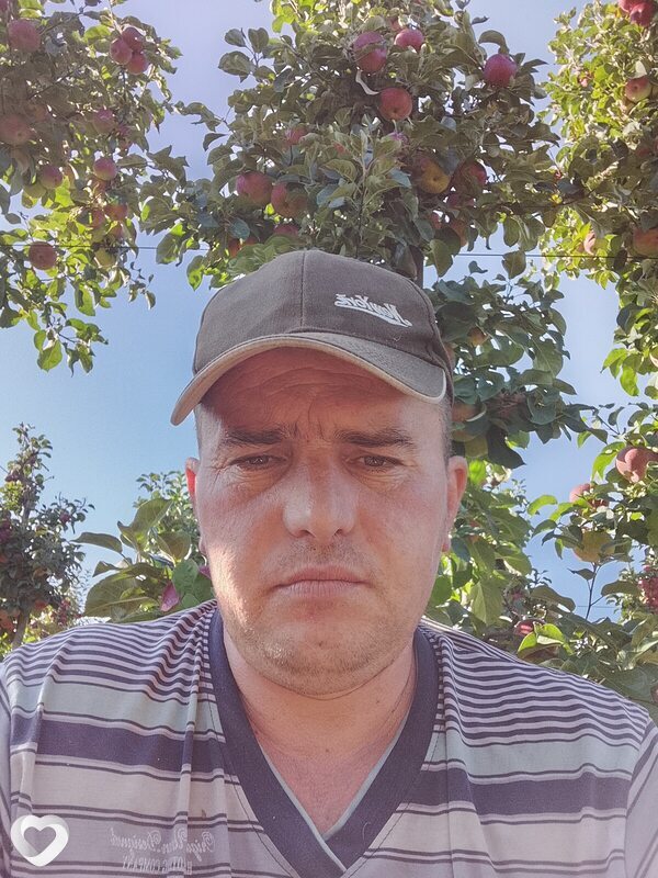 Володимир, Борщев