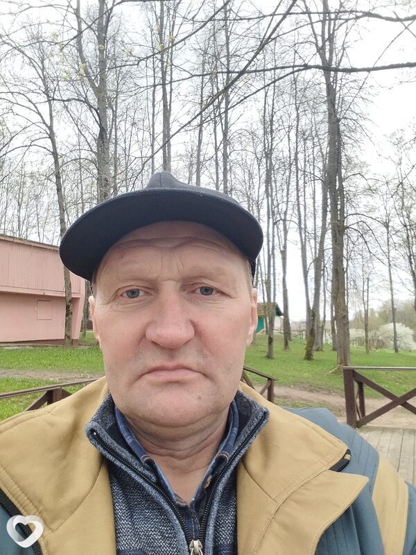Владимир, Вилейка
