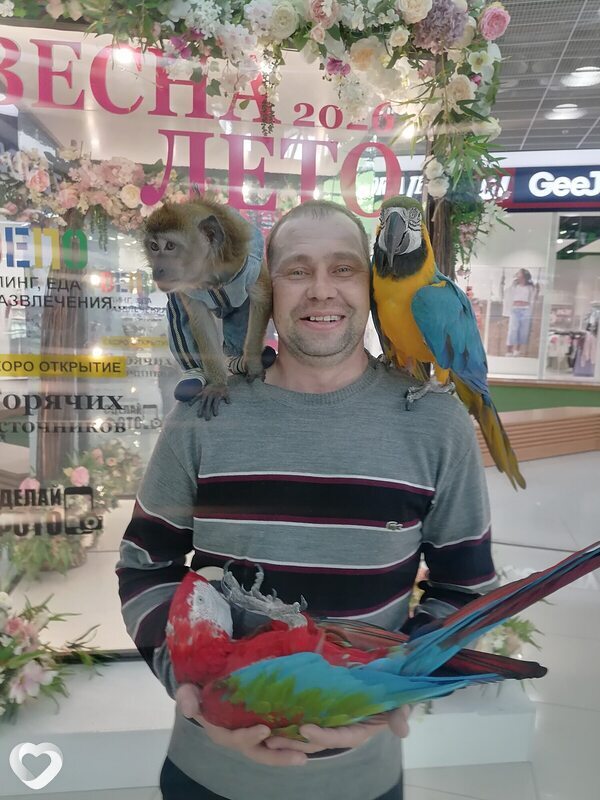 Алексей, 39, Нижнем Тагиле — анкета №3574862