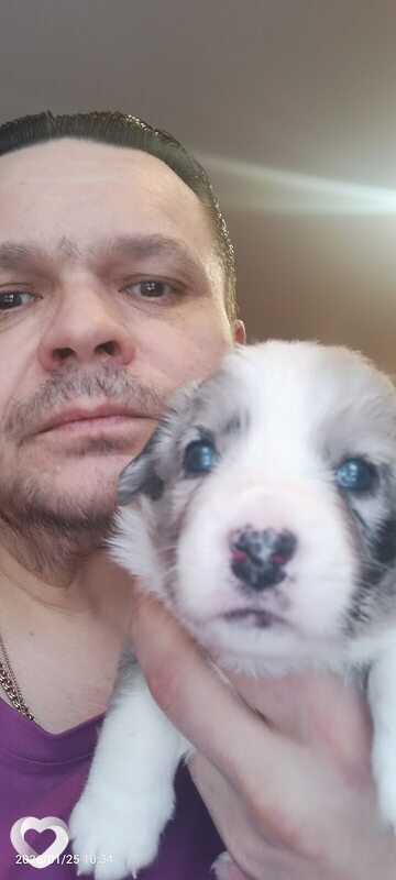 Алексей, 51, Зеленодольске — анкета №3578446