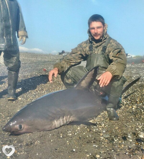Митрий, 40, Владивостоке — анкета №3582971