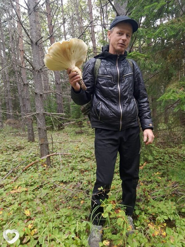 Валек, Долинск