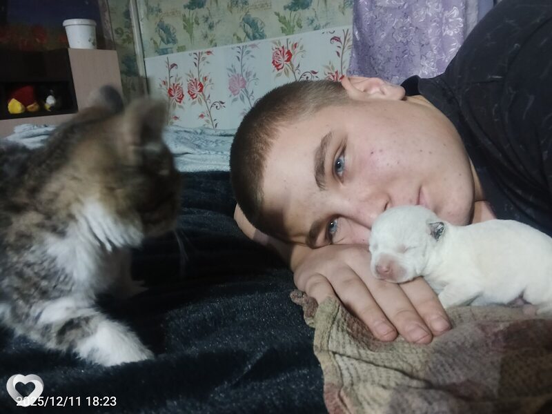 Роман, Залари