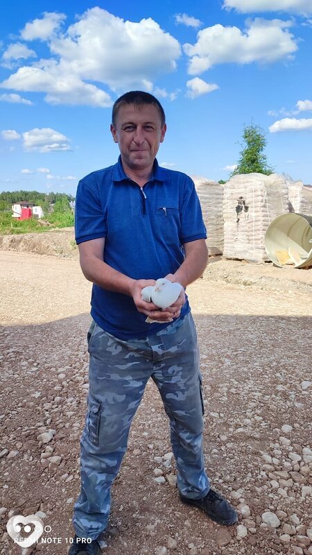 Владимир, 40, Пскове — анкета №3600432