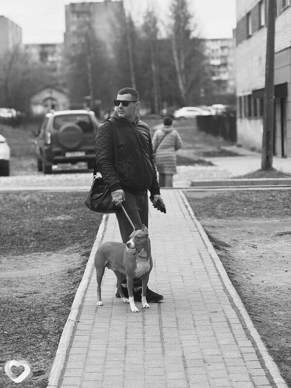 Mikhail, 38, Великом Новгороде — анкета №3601873