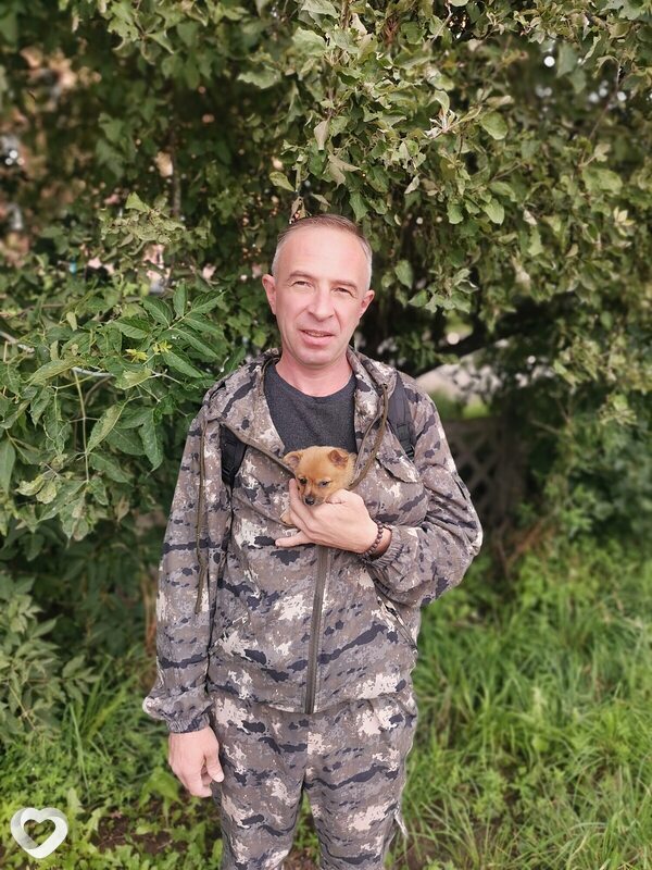 Александр, Вязьма