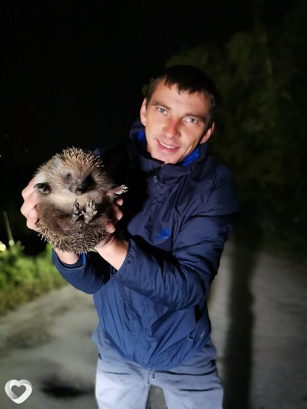 Nikolai, 39, Новосибирске — анкета №3609515