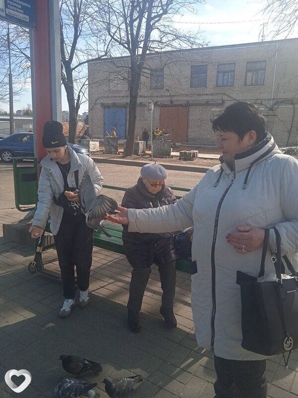 Светдана, 62, Могилев — анкета №3613415