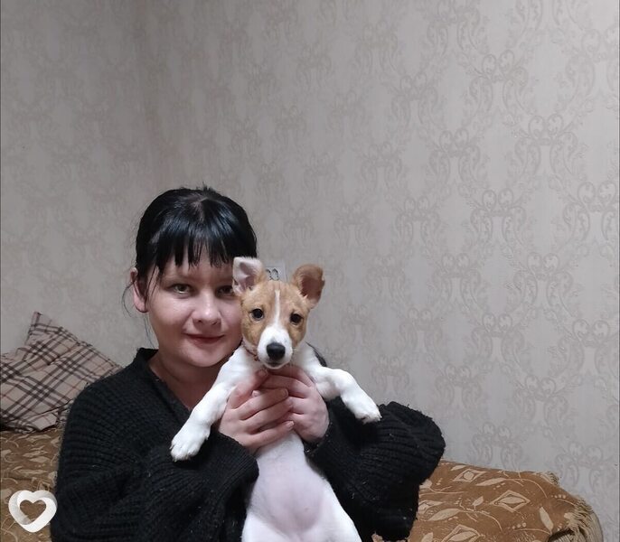 Алиса, 38, Астрахани — анкета №3613814