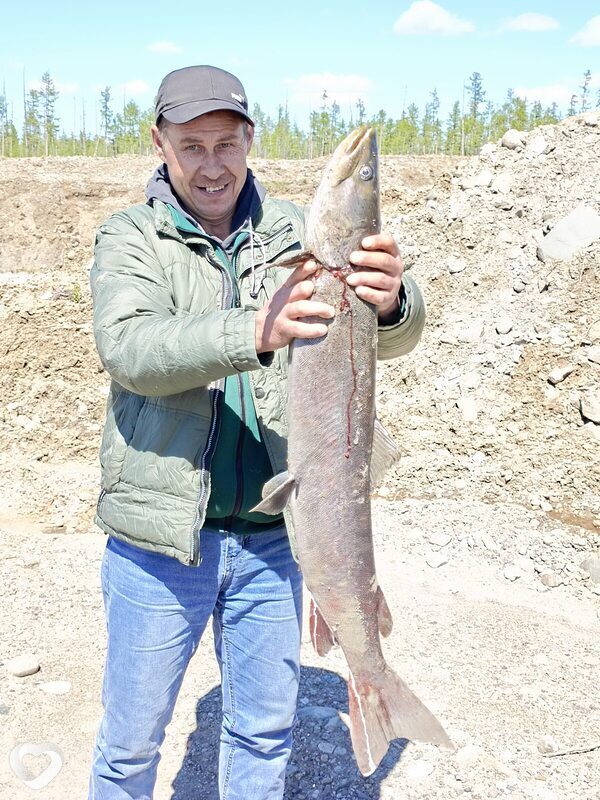 Андрей, 46, Барнауле — анкета №3615605
