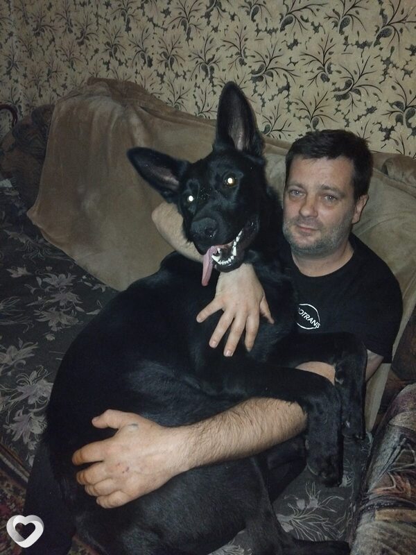 Александр, 43, Гродно — анкета №3617207