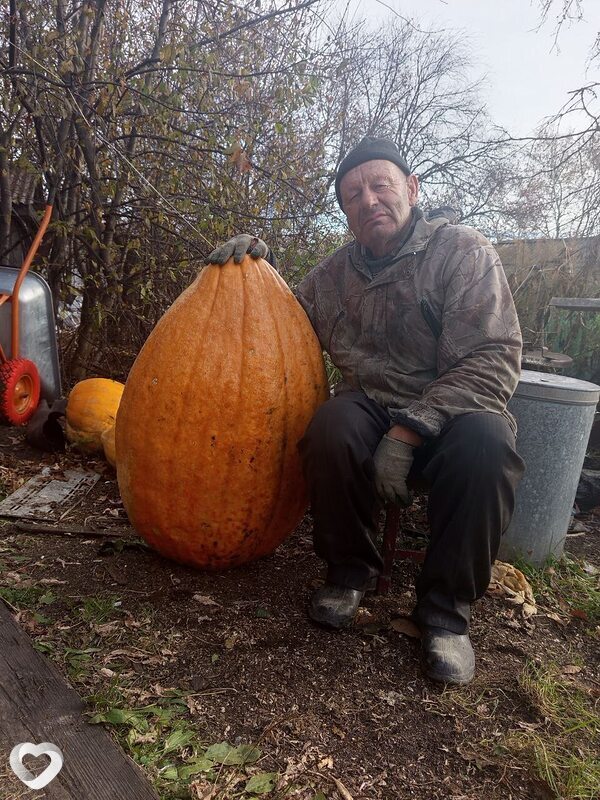 Сергей, Свободный