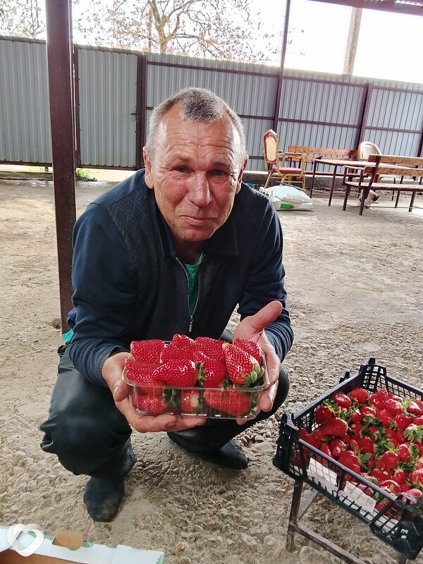 Сергей, 54, Краснодаре — анкета №3621312