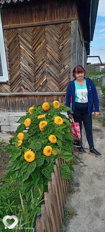 Галина, Топчиха