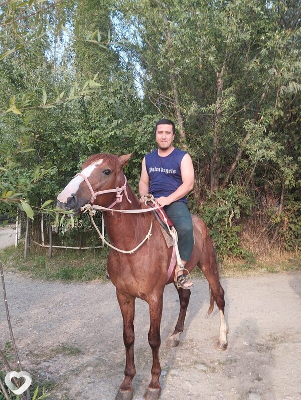 Abdulhamid, 33, Астане — анкета №3635928