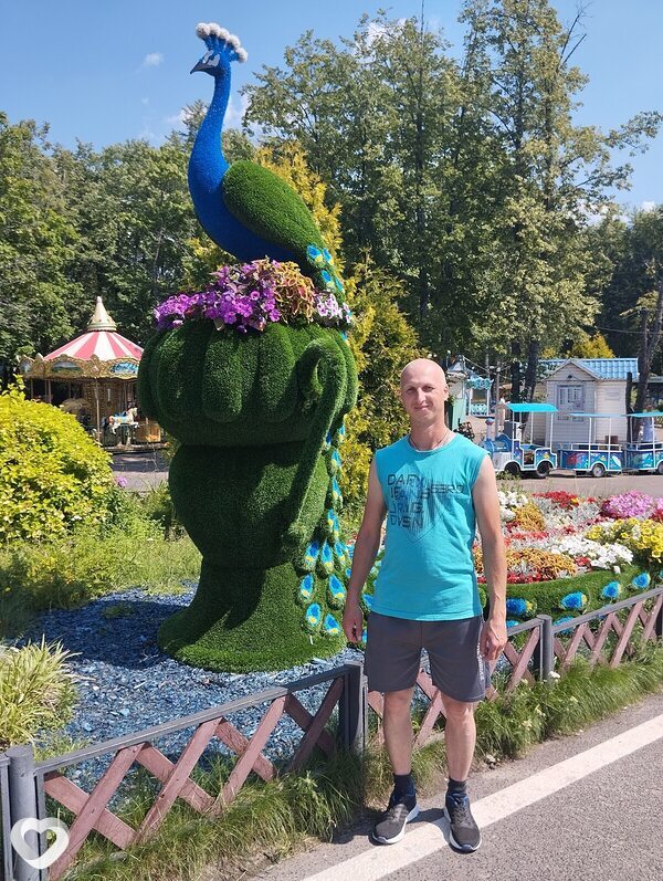 Дима, Нерехта