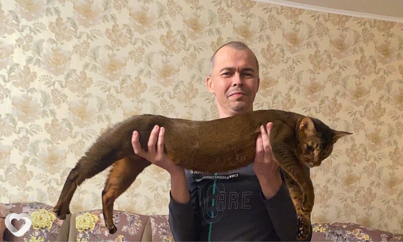 Дмитрий, Волжск