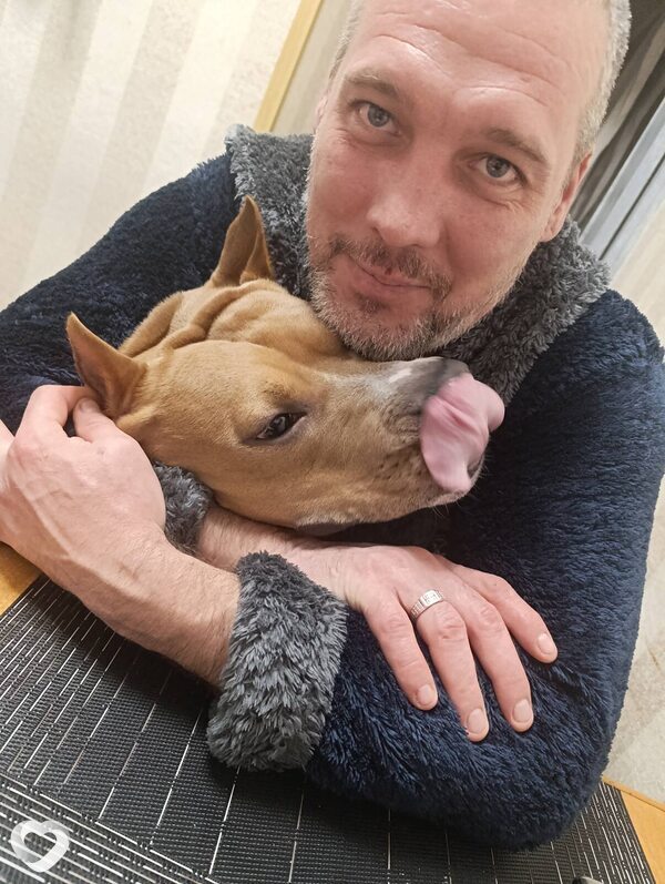 Дмитрий, 41, Никополе — анкета №3640332