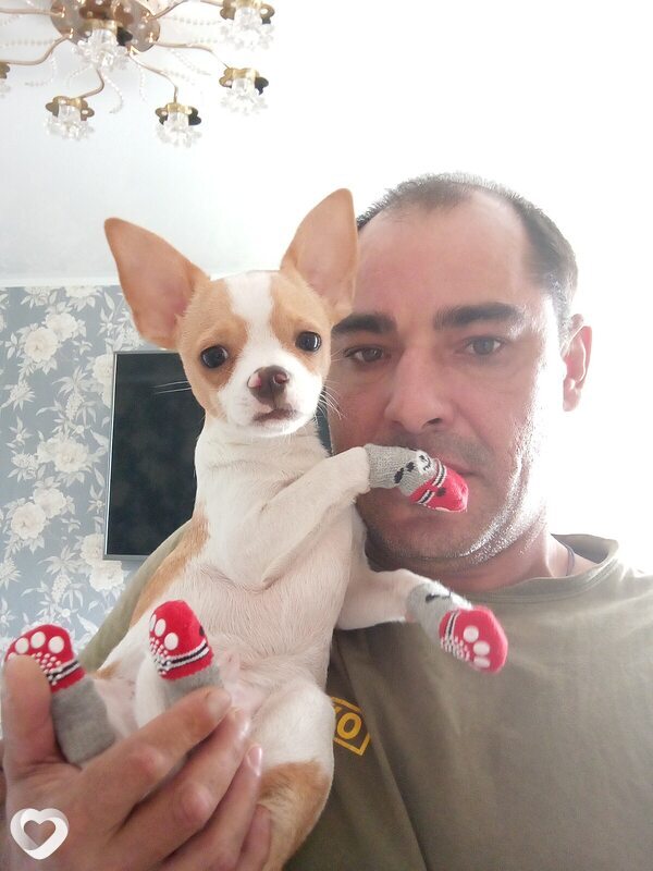 Михаил, 47, Москве — анкета №3640801