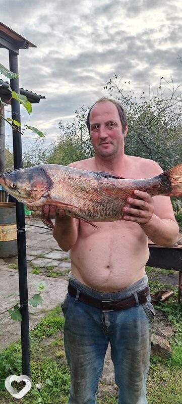 Юра, 45, Гомеле — анкета №3640895