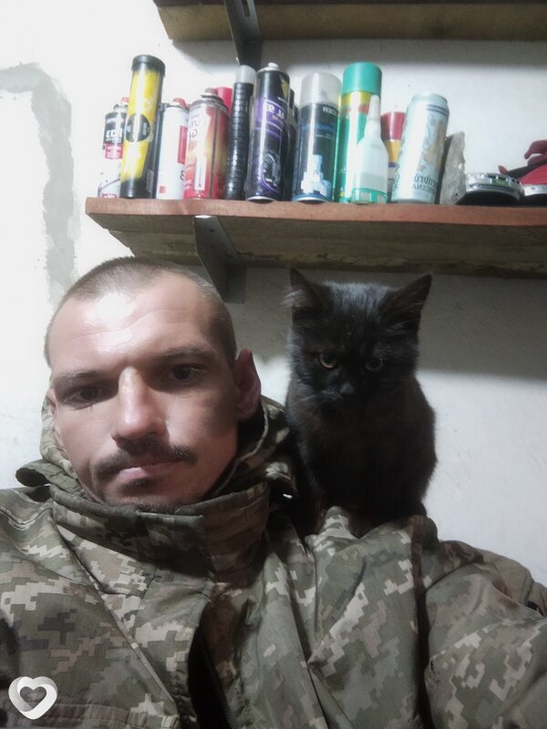Роман, Боярка