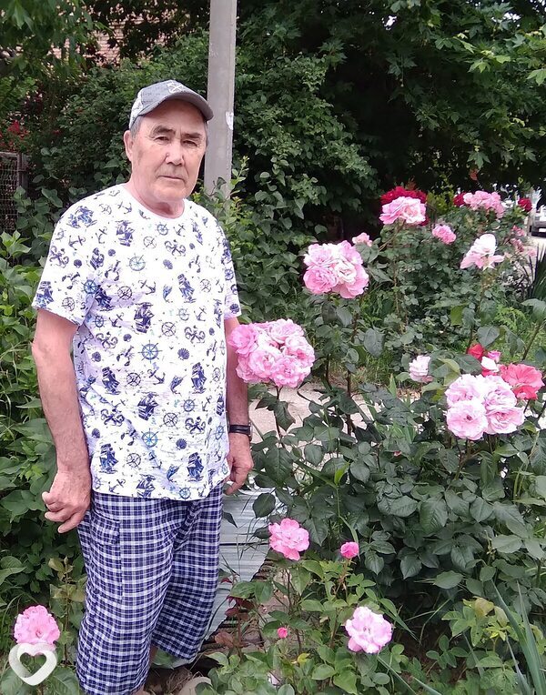 Шаип, Судак