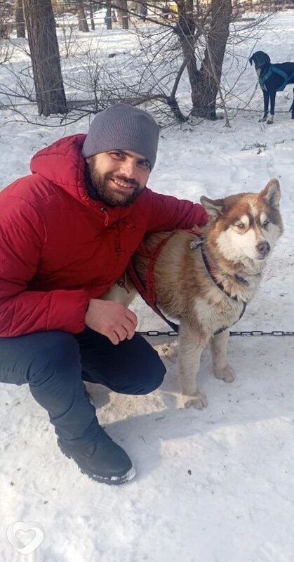 Владимир, 36, Богучаре — анкета №3646072