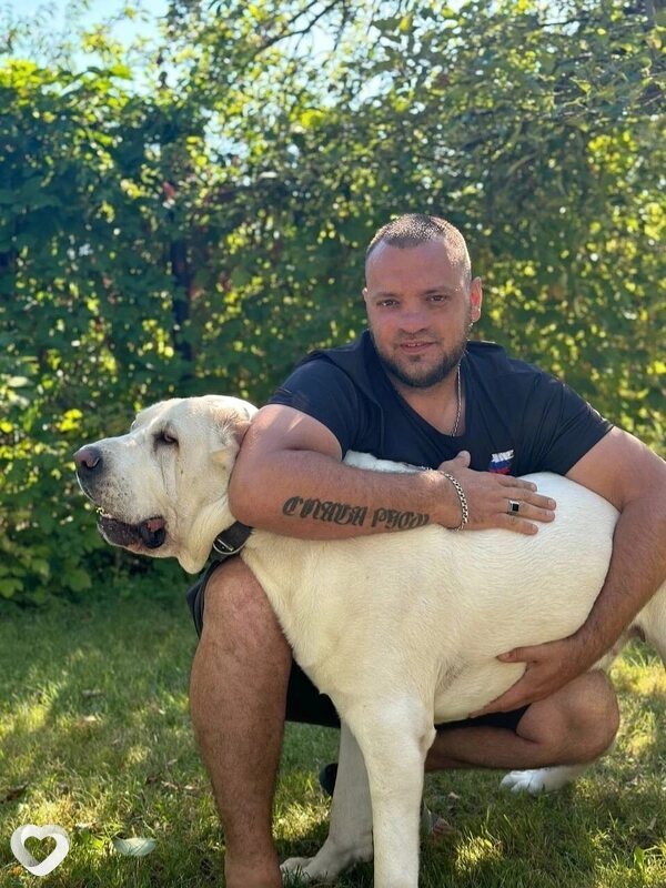 Александр, 39, Волгограде — анкета №3648330