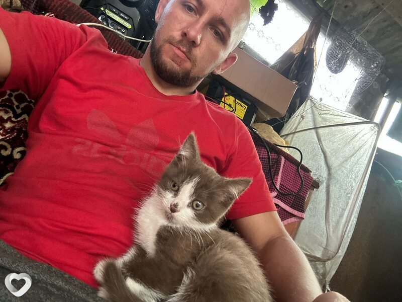 Володимир, 30, Одессе — анкета №3649033