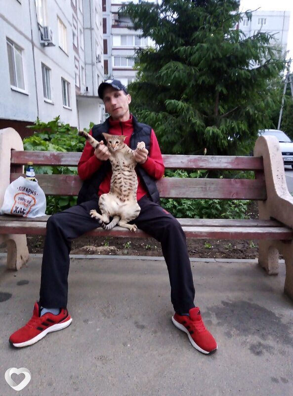 Сергей, 48, Балакове — анкета №3649485