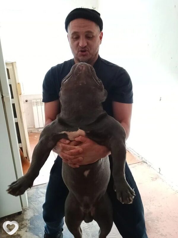 Александр, 53, Лисках — анкета №3658526