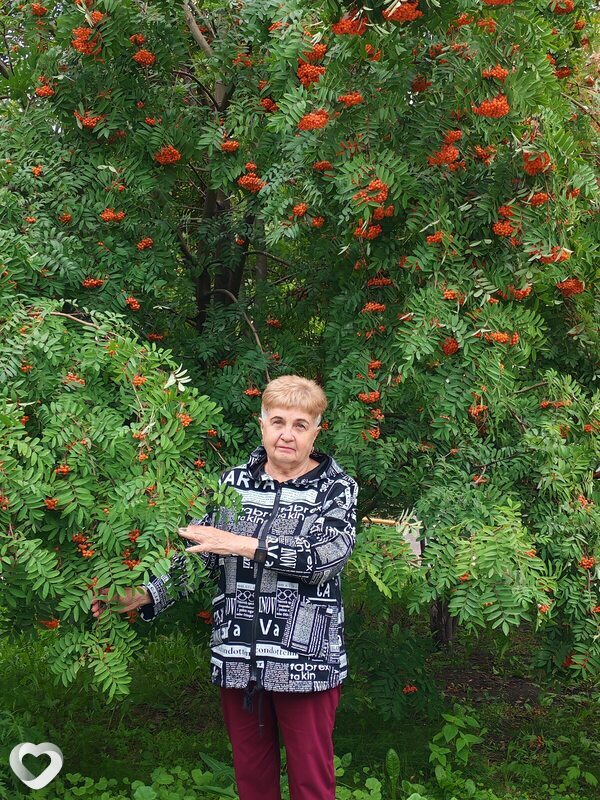Любовь, 70, Красноярске — анкета №3661233