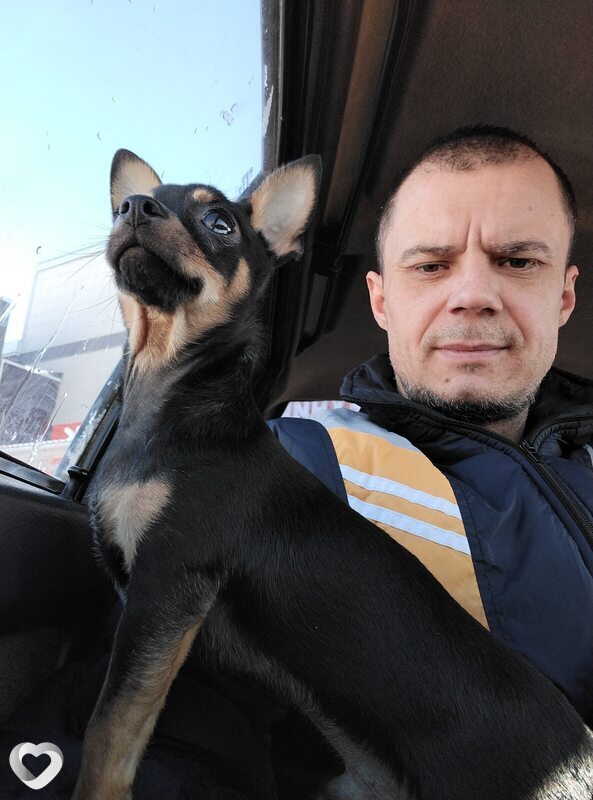 Evgeniy, 36, Ессентуках — анкета №3661748